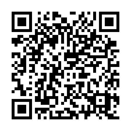 QR code for 333SKY