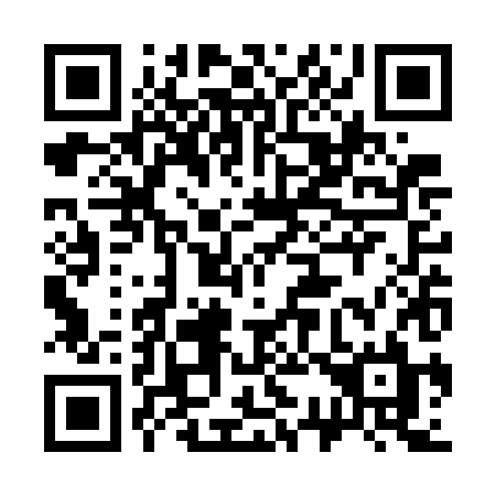 QR code for plate 333 WHL