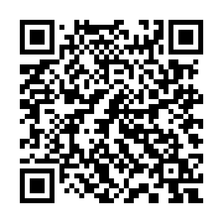 QR code for plate 334 MCU