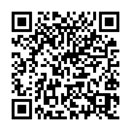 QR code for 335 OYS