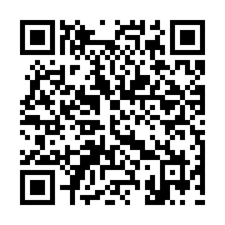QR code for 335 SFZ