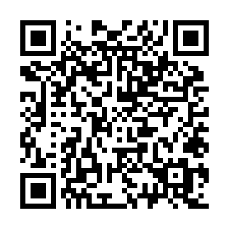 QR code for 335 ZLM