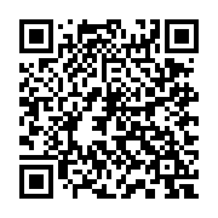 QR code for plate 335 DJM
