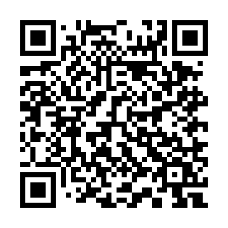 QR code for plate 335 DMV