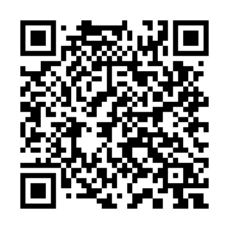 QR code for 335ERP