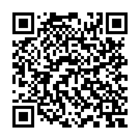 QR code for plate 335 HTY