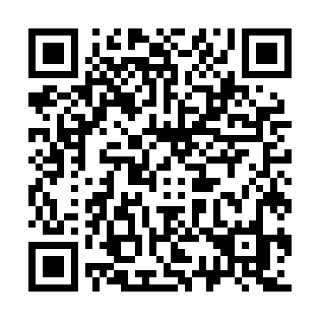 QR code for 335LJO