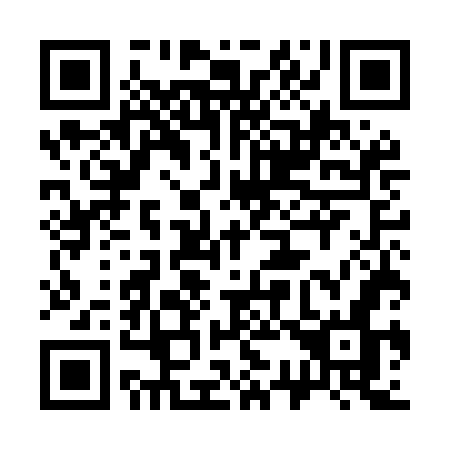 QR code for plate 335 MGN