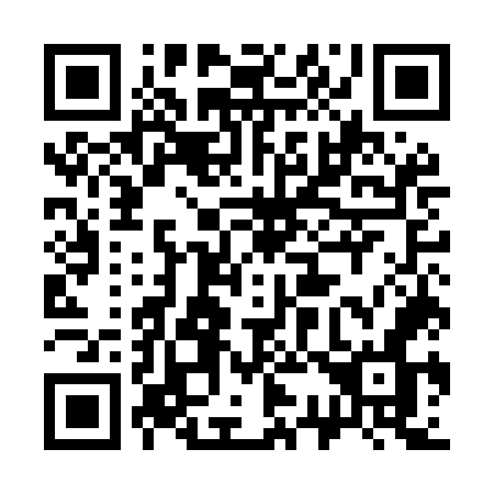 QR code for plate 335 MON
