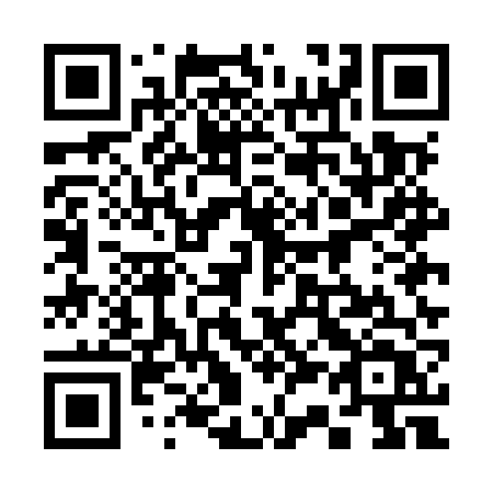 QR code for 335MVT