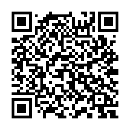 QR code for plate 335 QTA