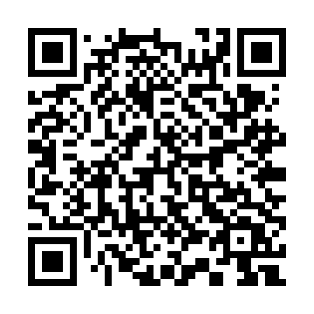 QR code for 335VDT