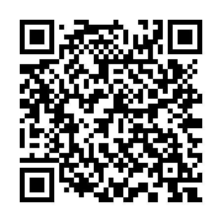QR code for 335ZQM