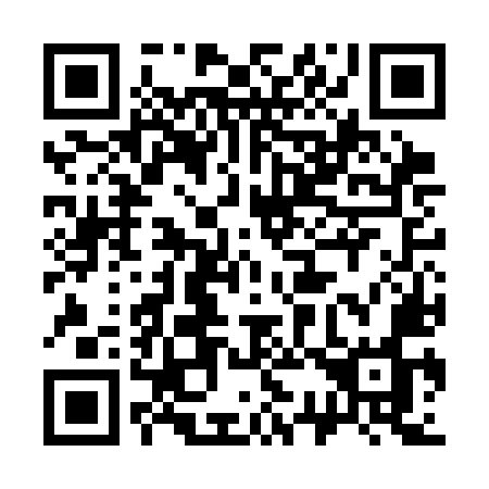 QR code for 336CMO
