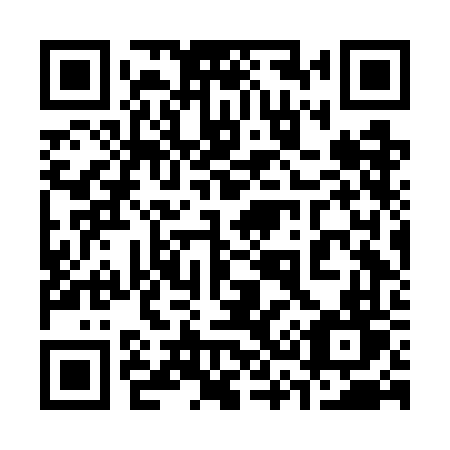 QR code for plate 336 GFT