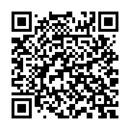 QR code for plate 336 GZG