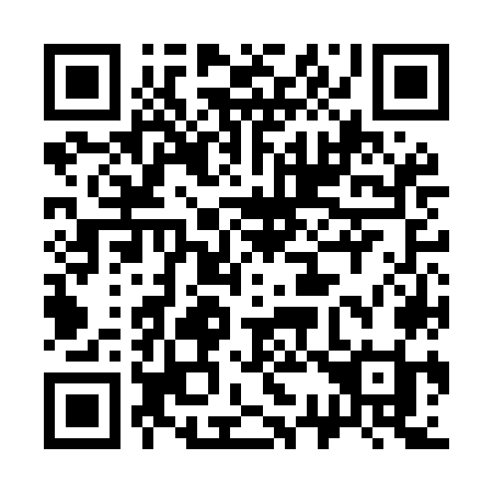 QR code for 336MOI
