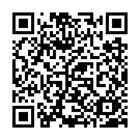 QR code for plate 336 WSO