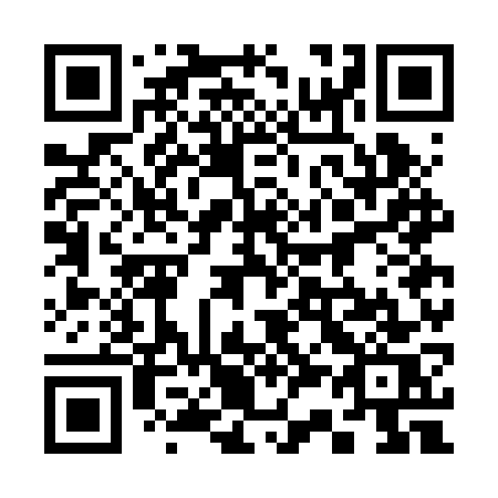 QR code for 337BWS