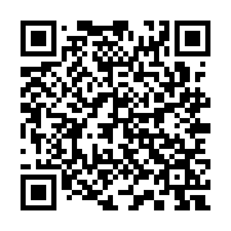 QR code for 338 QNN