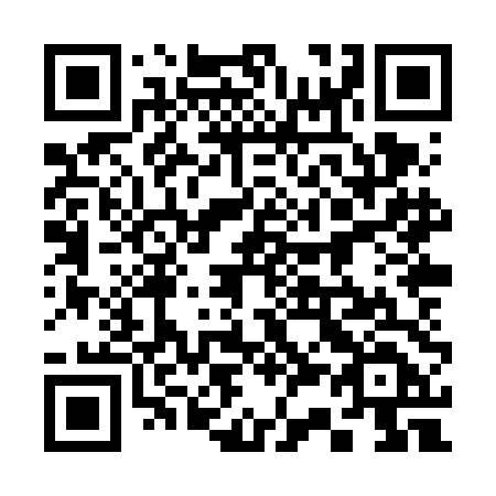 QR code for 338 VDD