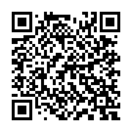 QR code for 338DLM