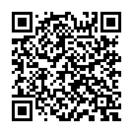 QR code for plate 338 HJR