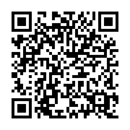 QR code for plate 338 MIE