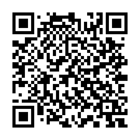 QR code for plate 338 PZQ