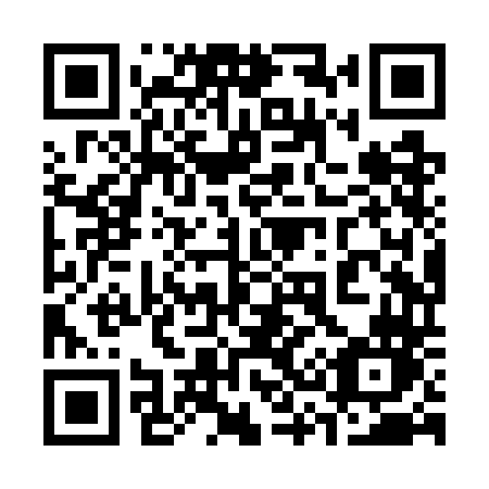 QR code for plate 338 WDN