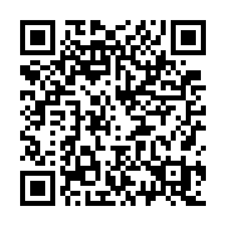 QR code for 338WFI
