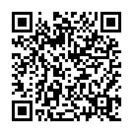 QR code for 339 YFF