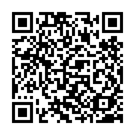 QR code for plate 339 DII