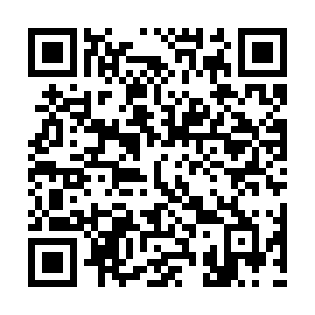 QR code for plate 339 SLB