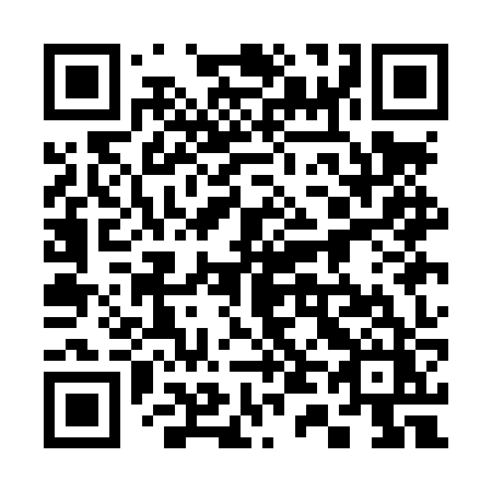 QR code for 341 LZZ