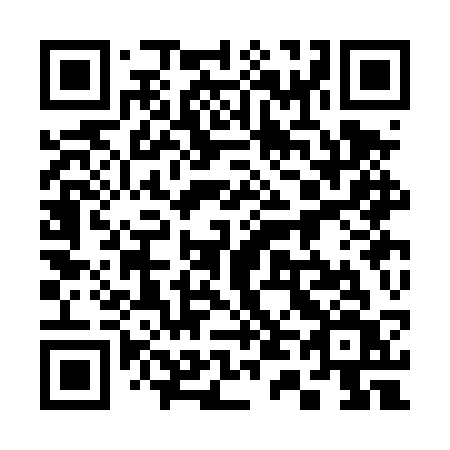 QR code for 343 DSV