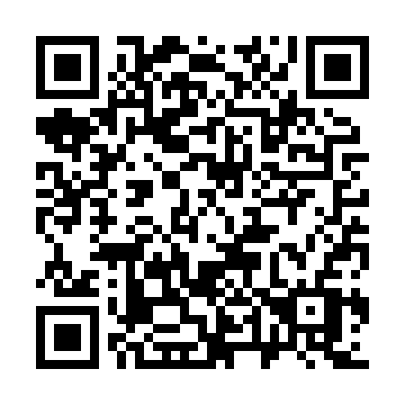 QR code for plate 343 XSV