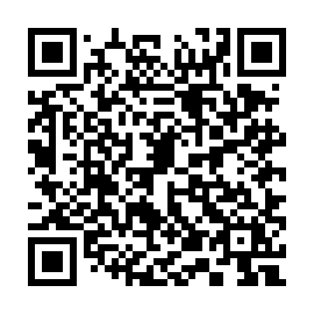 QR code for plate 355 DHX