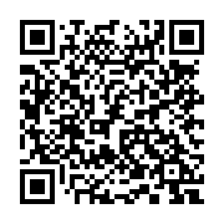 QR code for plate 355 LRG