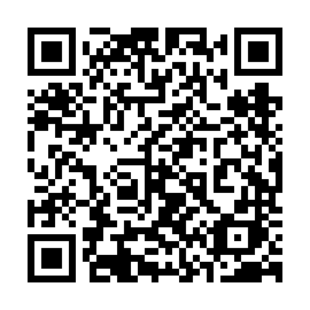 QR code for plate 368 FNH