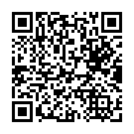 QR code for 369QLQ