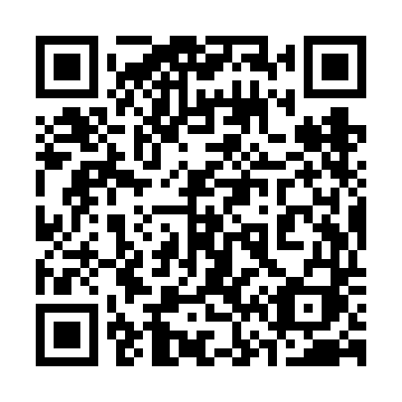 QR code for 369VDI