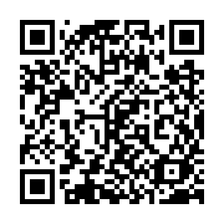QR code for plate 369 WYK