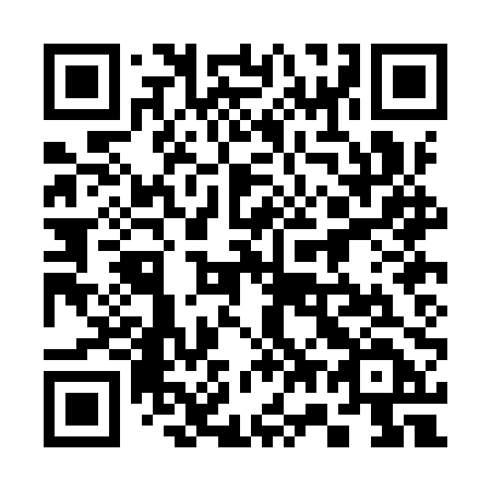 QR code for plate 370 IPD