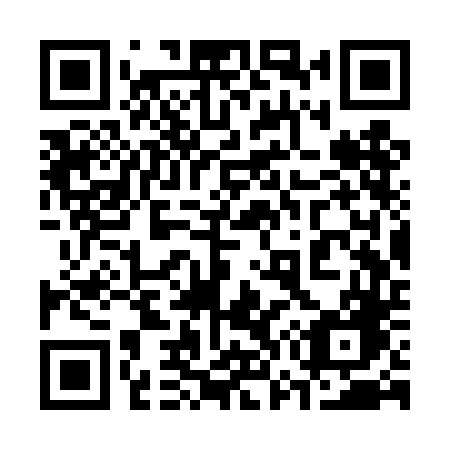 QR code for plate 373 TDG