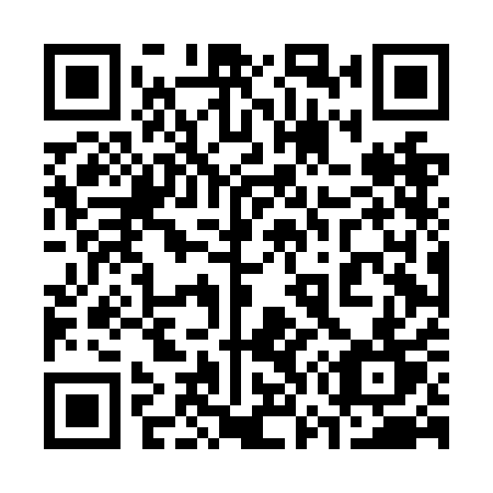 QR code for plate 374 NAT