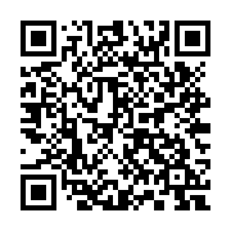 QR code for 375 ZSG