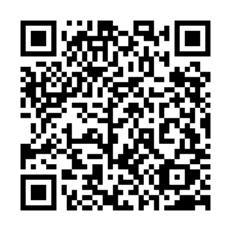 QR code for plate 377 AMY