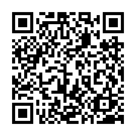 QR code for plate 377 BSS