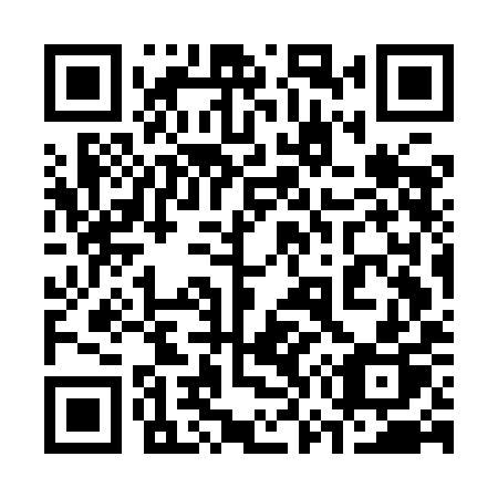 QR code for plate 377 IIP